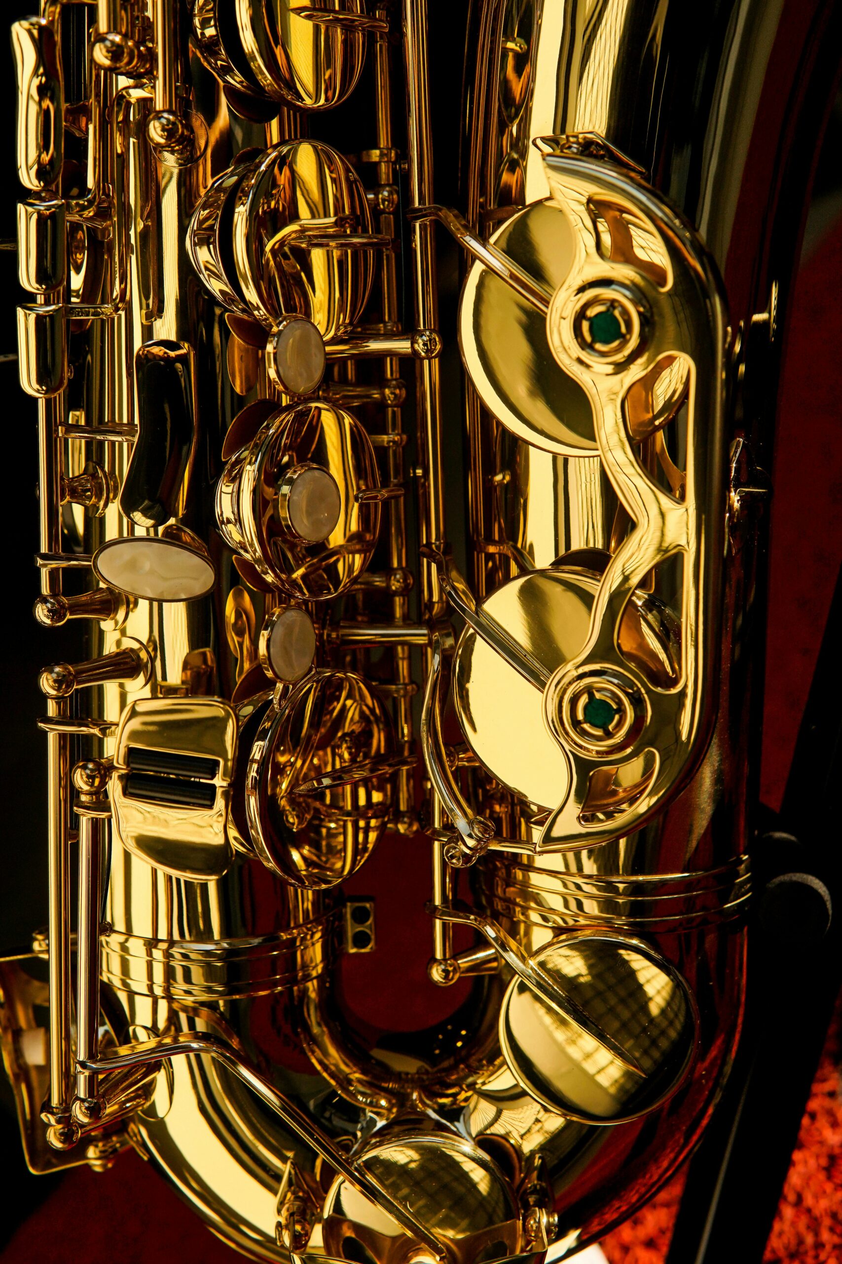 pexels-caique-araujo-101156227-28653608