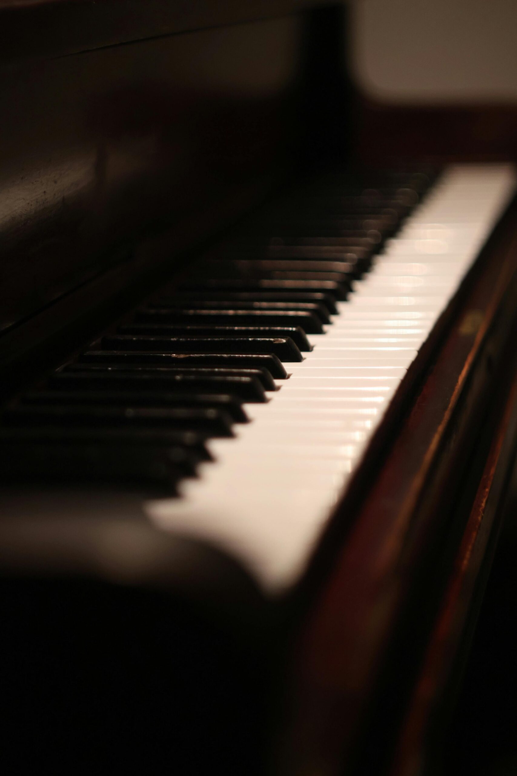 pexels-yannick-739231218-20222109